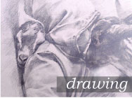 Canadian Artist Drawing