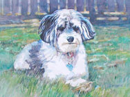 Molly