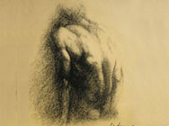 Male Back