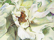 October Rose