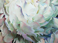 Peony#2