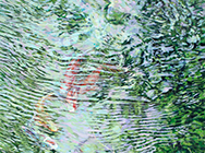 In the depth of the pool